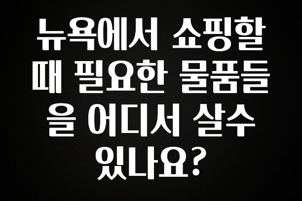 찰떡궁합 뉴욕에서 쇼핑할때 필요한 물품들을 어디서 살수 있나요? 군말없이 소개합니다