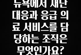 찰떡궁합 뉴욕에서 재난 대응과 응급 의료 서비스를 담당하는 조직은 무엇인가요? 전합니다