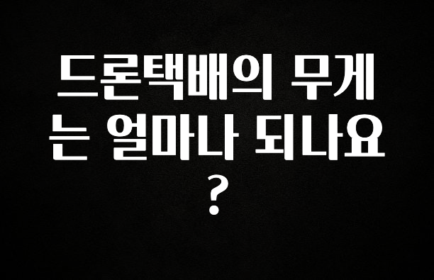 요즘 찰떡인 드론택배의 무게는 얼마나 되나요? 클릭해보세요