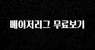 정성을 담은 메이저리그 무료보기 꼭 알아두세요