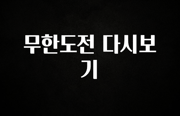 정성을 다하는 무한도전 다시보기 확인하시죠