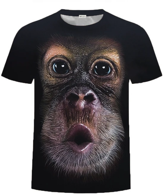 검색량 증가한 반티 소개합니다