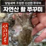 파격가 알쭈꾸미 업데이트된 소식입니다