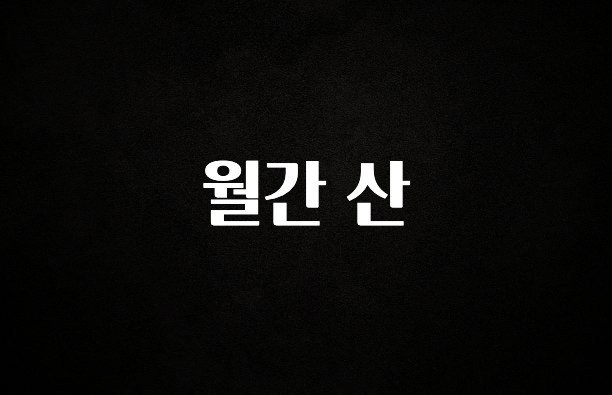 후회하지 않는 월간 산 확인해보세요