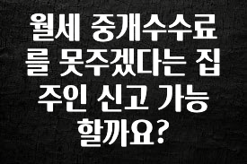 美친 소식 월세 중개수수료를 못주겠다는 집주인 신고 가능할까요? 아쉬움이 없습니다