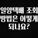 우리도 이렇게하자 일양택배 조회 방법은 어떻게 되나요? 알려드립니다