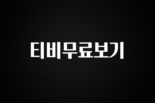 정성을 다하는 티비무료보기 정직하게 소개해보겠습니다