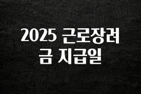 추가소식 2025 근로장려금 지급일 실사용 후기