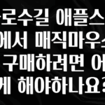 요즘 이게 유행 가로수길 애플스토어에서 매직마우스2를 구매하려면 어떻게 해야하나요? 추천드릴게요