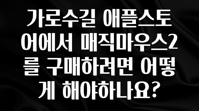 요즘 이게 유행 가로수길 애플스토어에서 매직마우스2를 구매하려면 어떻게 해야하나요? 추천드릴게요
