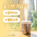 사실 찐정보는 가열식가습기 기억하세요