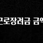 시간이 없다? 근로장려금 금액 최신정보