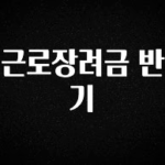 꼭 알아두자 근로장려금 반기 알짜배기만 골라가세요