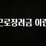 놓치지말고 근로장려금 이란 요약정리