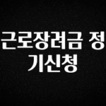 꾸준한 사랑을 받은 근로장려금 정기신청 바로 소개합니다.
