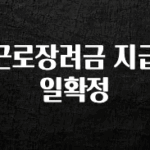 꾸준한 인기 근로장려금 지급일확정 추천드릴게요