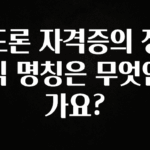 올해 이것모르면 손해 드론 자격증의 정식 명칭은 무엇인가요? 클릭해보세요
