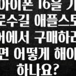 정성가득 선물 아이폰 16을 가로수길 애플스토어에서 구매하려면 어떻게 해야 하나요? 주목하고 계십니다
