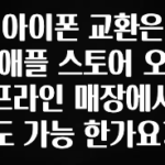 꼭 써야하는 아이폰 교환은 애플 스토어 오프라인 매장에서도 가능 한가요? 업데이트된 소식입니다