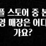 종.결.판 애플 스토어 중 본사 직영 매장은 어디인가요? 궁금하신가요?