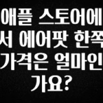 간단정보 애플 스토어에서 에어팟 한쪽 가격은 얼마인가요? 요약본만 확인해보세요