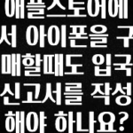 검색량 증가한 애플스토어에서 아이폰을 구매할때도 입국신고서를 작성해야 하나요? 알짜배기만 골라가세요