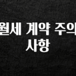 이거 “꼭” 기억하자 월세 계약 주의사항 후회하지 않습니다