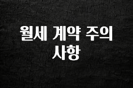 이거 “꼭” 기억하자 월세 계약 주의사항 후회하지 않습니다