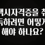 찐추천 이유 택시자격증을 취득하려면 어떻게 해야 하나요? 요약본만 확인해보세요