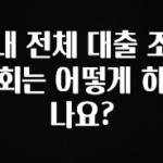 꾸준한 인기 내 전체 대출 조회는 어떻게 하나요? 전해드립니다