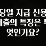 추가소식 당일 지급 신용 대출의 특징은 무엇인가요? 바로 클릭