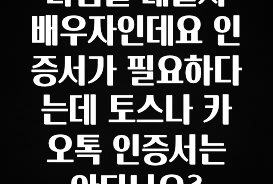 최저가로 모시는 디딤돌 대출시 배우자인데요 인증서가 필요하다는데 토스나 카오톡 인증서는 안되나요? 요약본만 확인해보세요