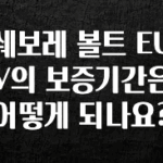 꼭 알아두자 쉐보레 볼트 EUV의 보증기간은 어떻게 되나요? 바로 클릭