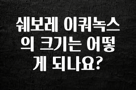 가성비 정보 쉐보레 이쿼녹스의 크기는 어떻게 되나요? 지금 바로 공개합니다