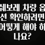 당장 친구에게 알려야 할 쉐보레 차량 옵션 확인하려면 어떻게 해야 하나요? 알짜배기만 골라가세요