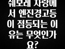 드디어 공개 쉐보레 차량에서 엔진경고등이 점등되는 이유는 무엇인가요? 요약정리