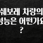 기가막히게 준비한 쉐보레 차량의 성능은 어떤가요? 핫한 정보입니다