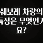 정성가득 선물 쉐보레 차량의 특징은 무엇인가요? 핫한 정보입니다