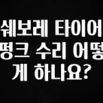 꼭 알아야하는 쉐보레 타이어 펑크 수리 어떻게 하나요? 관심이 뜨겁습니다