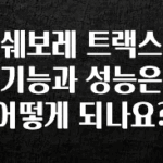 인기좋은 이유 쉐보레 트랙스 기능과 성능은 어떻게 되나요? 실시간 리뷰입니다