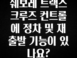 클릭필수 쉐보레 트랙스 크루즈 컨트롤에 정차 및 재출발 기능이 있나요? 확인해보세요