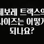 바로확인해야 할 소식 쉐보레 트랙스의 사이즈는 어떻게 되나요? 아쉬움이 없습니다