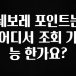 지금 바로 공개 쉐보레 포인트는 어디서 조회 가능 한가요? 꼭 알아두세요