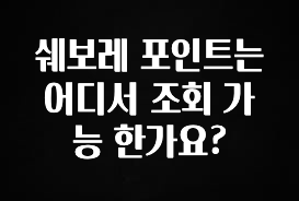 지금 바로 공개 쉐보레 포인트는 어디서 조회 가능 한가요? 꼭 알아두세요
