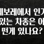 사랑을 담은 쉐보레에서 인기 있는 차종은 어떤게 있나요? 확인해보세요