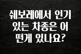사랑을 담은 쉐보레에서 인기 있는 차종은 어떤게 있나요? 확인해보세요