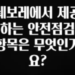 “꼭”클릭해야하는 이유 쉐보레에서 제공하는 안전점검 항목은 무엇인가요? 실사용 후기