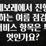 사랑을 담은 선물 쉐보레에서 진행하는 여름 점검 서비스 항목은 무엇인가요? 업데이트된 소식입니다