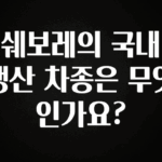 우리도 이렇게 하자 쉐보레의 국내 생산 차종은 무엇인가요? 후회하지 않습니다