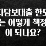 꼭 봐야하는 리스트 차담보대출 한도는 어떻게 책정이 되나요? 지금 바로 공개합니다